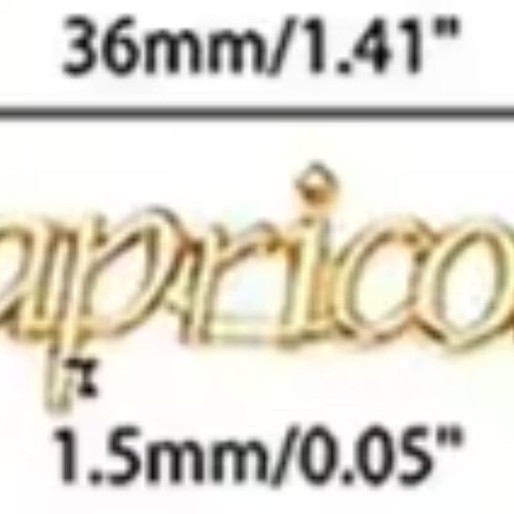 NEW CAPRICORN ZODIAC GOLD & SILVER TONE 3D METAL NAIL CHARMS (2PCS) - Picture 5 of 6